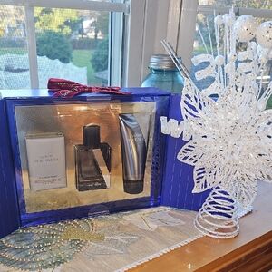 Victoria's Secret Platinum Fragrance Set for Men